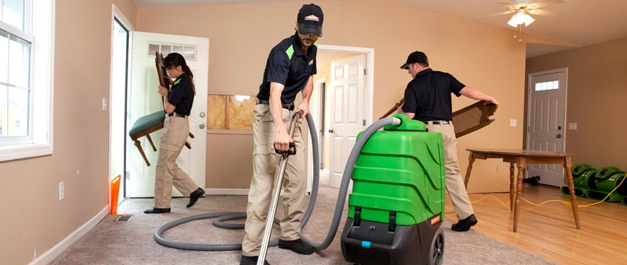 Roxbury, MA cleaning services